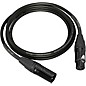 Behringer Platinum Performance Straight to Straight Microphone Cable with XLR Connectors 10 ft. Black