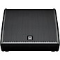 Turbosound TFX122M-AN 1,100W 12" Stage Monitor