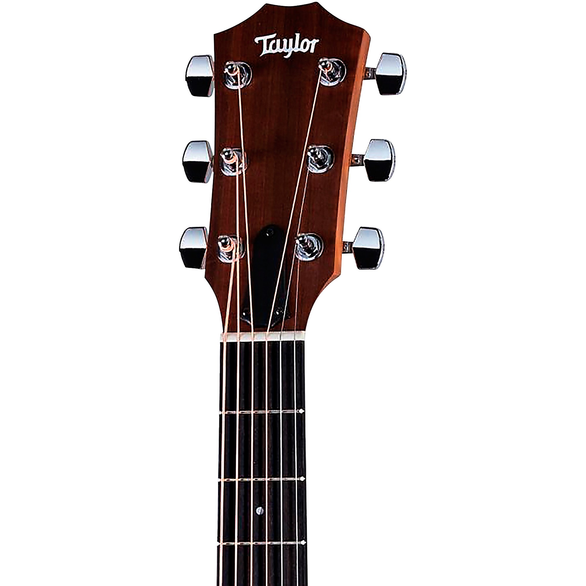 Taylor Academy 12 ギタースタンドセット Taylor Academy 12-N Nylon - Swing City Music
