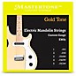 Gold Tone EMS5 Electric Mandolin Strings thumbnail