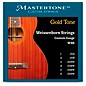 Gold Tone WBS Weissenborn Strings thumbnail