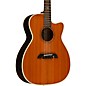 Alvarez Yairi FYM74ce Cutaway Folk-OM Acoustic-Electric Guitar Natural thumbnail