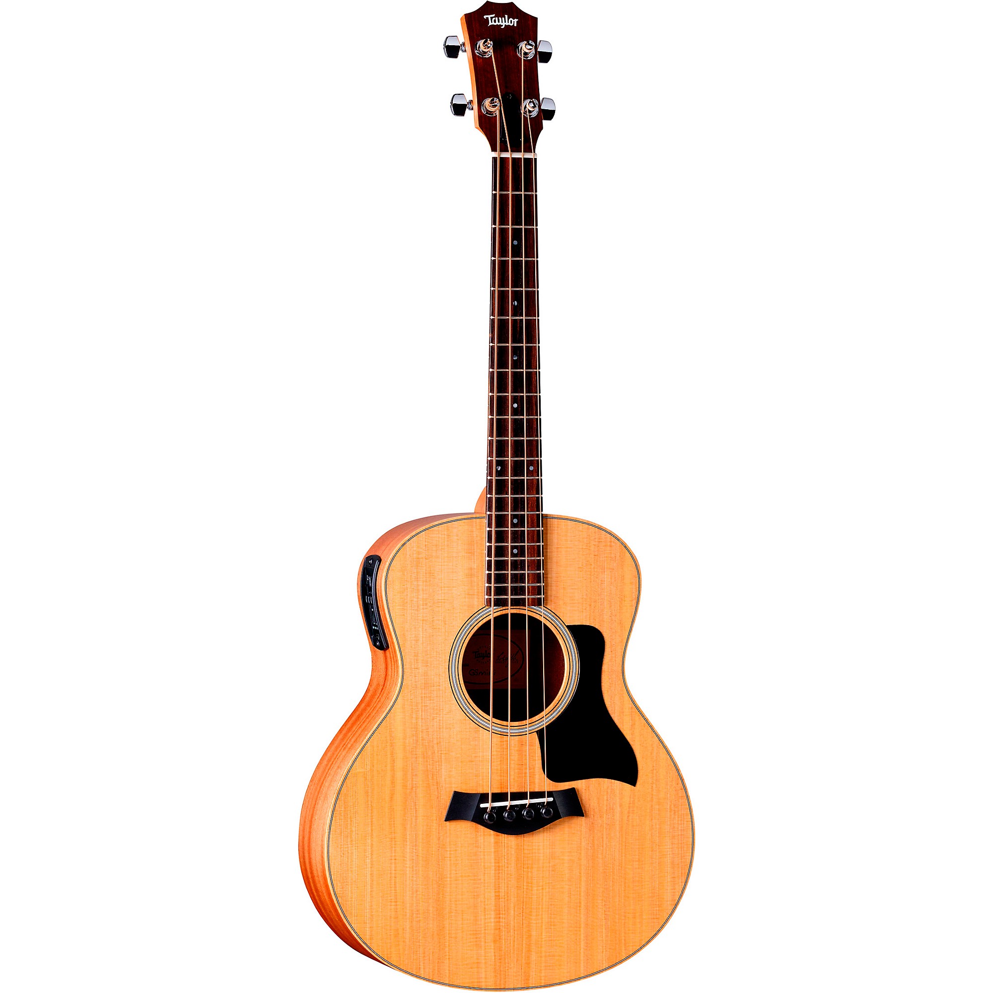 Taylor gs mini harga cheap