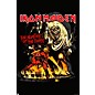 Trends International Iron Maiden - The Number of the Beast Poster thumbnail