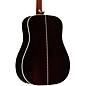 Takamine Glenn Frey Signature Dreadnought Acoustic-Electric Guitar Natural