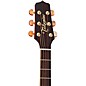 Takamine P4DC Pro Series Dreadnought Cutaway Acoustic-Electric Guitar Natural