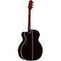 Takamine P5JC Pro Series Jumbo Cutaway Acoustic-Electric Guitar Natural