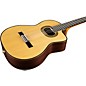 Takamine TH90 Hirade Classical Nylon-String Acoustic-Electric Guitar Natural