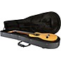 Takamine TH90 Hirade Classical Nylon-String Acoustic-Electric Guitar Natural