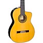 Takamine TH5C Hirade Classical Nylon-String Acoustic-Electric Guitar Natural thumbnail