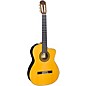 Takamine TH5C Hirade Classical Nylon-String Acoustic-Electric Guitar Natural