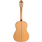 Kremona Rosa Lucia Nylon-String Flamenco Acoustic Guitar Natural