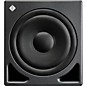 Neumann KH 810 10-inch Powered Studio Subwoofer (Each)