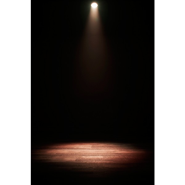 American DJ Dotz Par RBGL LED Wash Light