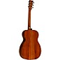 Martin Custom Shop 00 14-Fret Adirondack Spruce-Guatemalan Rosewood Acoustic Guitar Natural