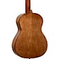 Ortega RPPC34 3/4 Size Nylon-String Classical Acoustic Guitar Pack Natural