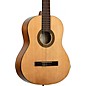 Ortega RPPC44 Full Size Nylon-String Classical Acoustic Guitar Pack Natural thumbnail