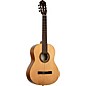 Ortega RPPC44 Full Size Nylon-String Classical Acoustic Guitar Pack Natural