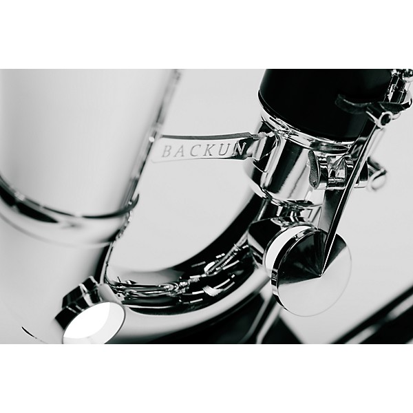Backun Backun Q Series Low C Bass Clarinet in Grenadilla with Silver Plated Keys, 2-Piece Neck, Marcus Bonna Compact Case ...