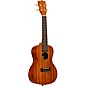 Kala Makala Classic Concert Ukulele Pack Natural thumbnail