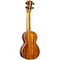 Martin 2K Concert Ukulele Solid Flame Koa Top