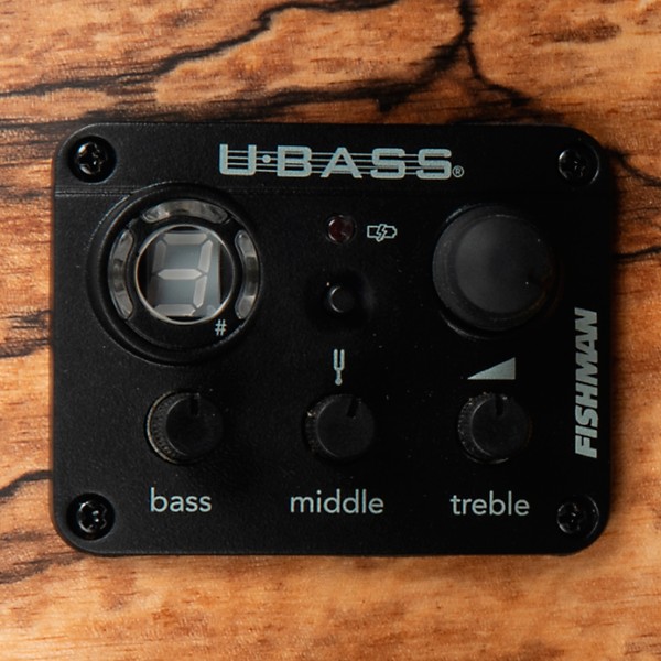 Kala Spalted Mango Acoustic-Electric U-Bass Natural