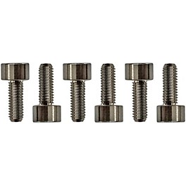 Floyd Rose Titanium Saddle Mounting Screws