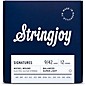 Stringjoy Signatures 12 String Nickel Wound Electric Guitar Strings 9 - 42 thumbnail
