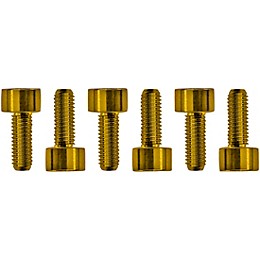 Floyd Rose Stainless Steel Saddle Mounting Screws Gold