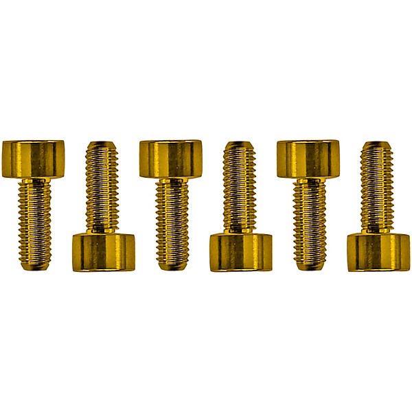 Floyd Rose Stainless Steel Saddle Mounting Screws Gold