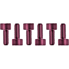 Floyd Rose Stainless Steel Saddle Mounting Screws Purple Floyd Rose Stainless Steel Saddle Mounting Screws Pink