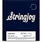 Stringjoy Signatures 5 String Medium Scale Nickel Wound Bass Guitar Strings 45 - 130 thumbnail