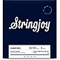 Stringjoy Signatures 4 String Extra Long Scale Nickel Wound Bass Guitar Strings 45 - 105 thumbnail