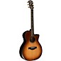 Taylor 914ce Builder's Edition Grand Auditorium Acoustic-Electric Guitar Wild Honey Burst