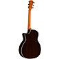 Taylor 414ce 50th Anniversary Special-Edition Sinker Redwood Grand Auditorium Acoustic-Electric Guitar Shaded Edge Burst