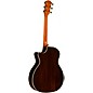 Taylor 414ce 50th Anniversary Special-Edition Sinker Redwood Grand Auditorium Acoustic-Electric Guitar Shaded Edge Burst