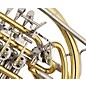 Yamaha YHR-672 Series Professional Double Horn with Fixed Bell Lacquer