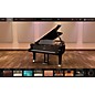 IK Multimedia Pianoverse Hamburg Grand S274