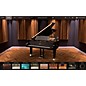 IK Multimedia Pianoverse Hamburg Grand S274