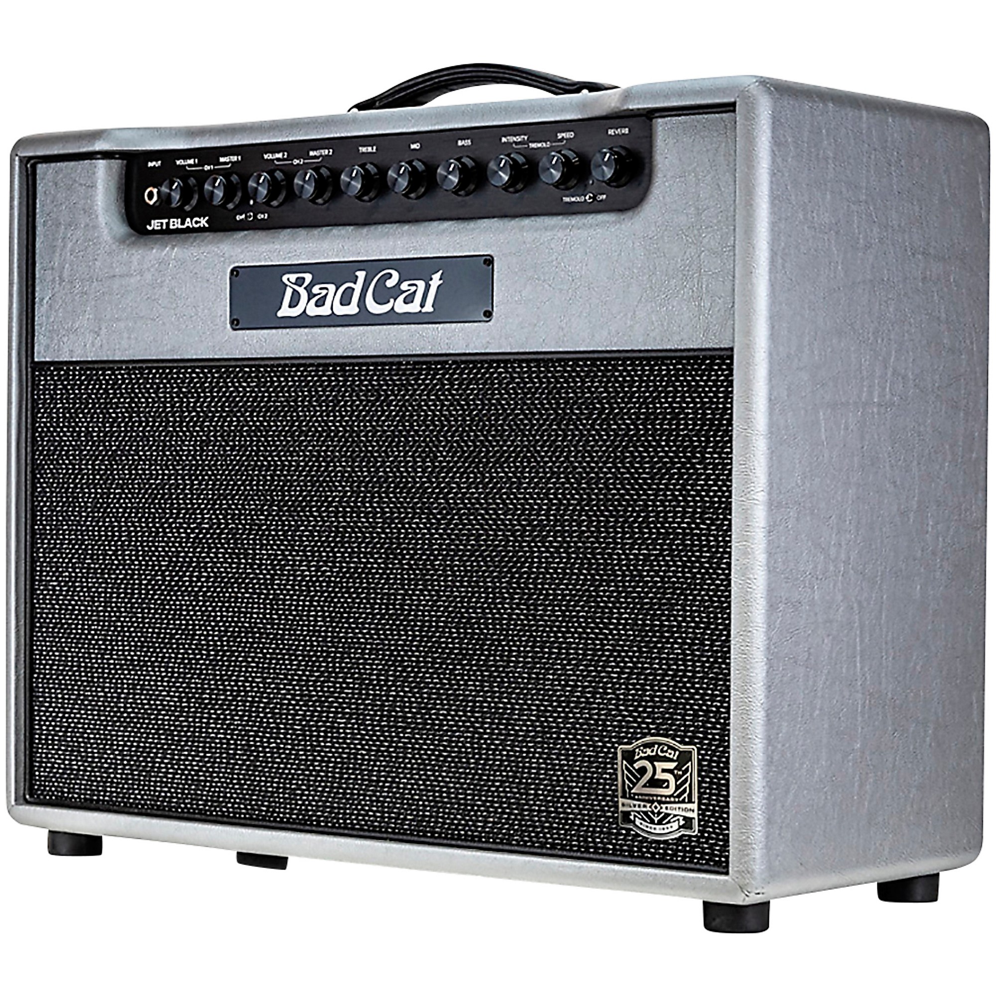 Bad Cat Jet Black 25th Anniversary 38W Tube Guitar Combo Amp Bad Cat Jet Black 25th Anniversary 38W Tube Guitar Combo Amp
