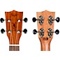 Flight NUP-310 Pineapple Soprano Ukulele Natural