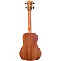 Flight NUC Concert Ukulele Bundle Natural