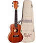 Flight NUC Concert Ukulele Bundle Natural
