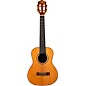 Flight Diana TE Tenor Acoustic-Electric Ukulele Natural thumbnail
