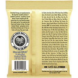 Ernie Ball 2003 Earthwood 80/20 Bronze Medium Light Acoustic Strings 2-Pack