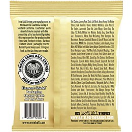 Ernie Ball 2006 Earthwood 80/20 Bronze Extra Light Acoustic Guitar Strings 2-Pack