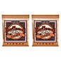 Ernie Ball 2148 Earthwood Phosphor Bronze Light Acoustic Guitar Strings 2-Pack thumbnail