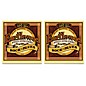 Ernie Ball 2008 Earthwood 80/20 Bronze Rock and Blues Acoustic Guitar Strings 2-Pack thumbnail