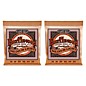 Ernie Ball 2146 Earthwood Phosphor Bronze Medium-Light Acoustic Guitar Strings 2-Pack thumbnail