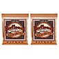 Ernie Ball 2151 Earthwood Phosphor Bronze Rock & Blues Acoustic Guitar Strings 2-Pack thumbnail